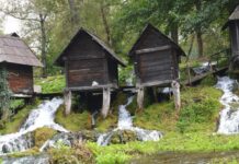 The Ottoman Imperial Harem