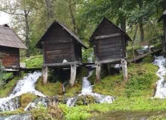The Ottoman Imperial Harem