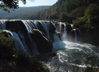 Languages Spoken in Hungary