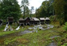 Was the Neorion at the Heptascalon the Same as the Kontoscalion?